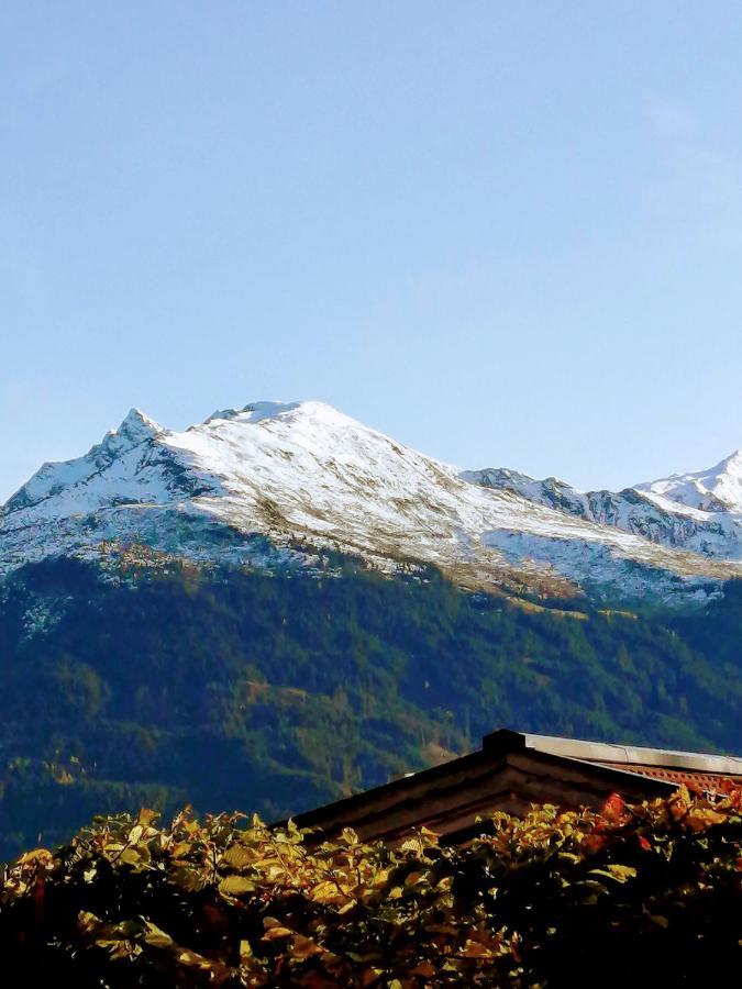 Haus Jessica Incl National Park Sommercard 米特西尔 外观 照片